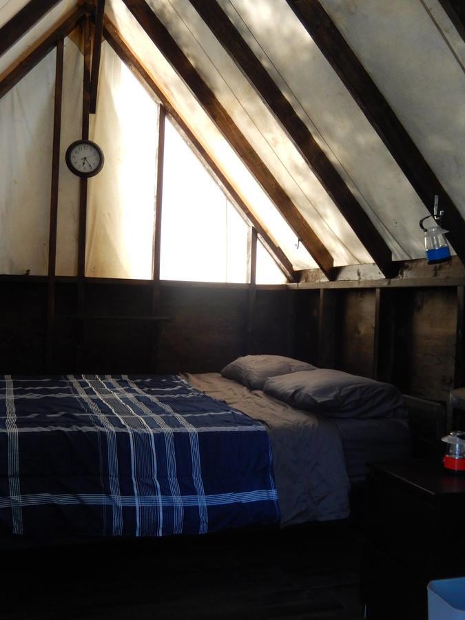 Wanderer'S Inn Backpackers Hostel Haines Junction Ngoại thất bức ảnh