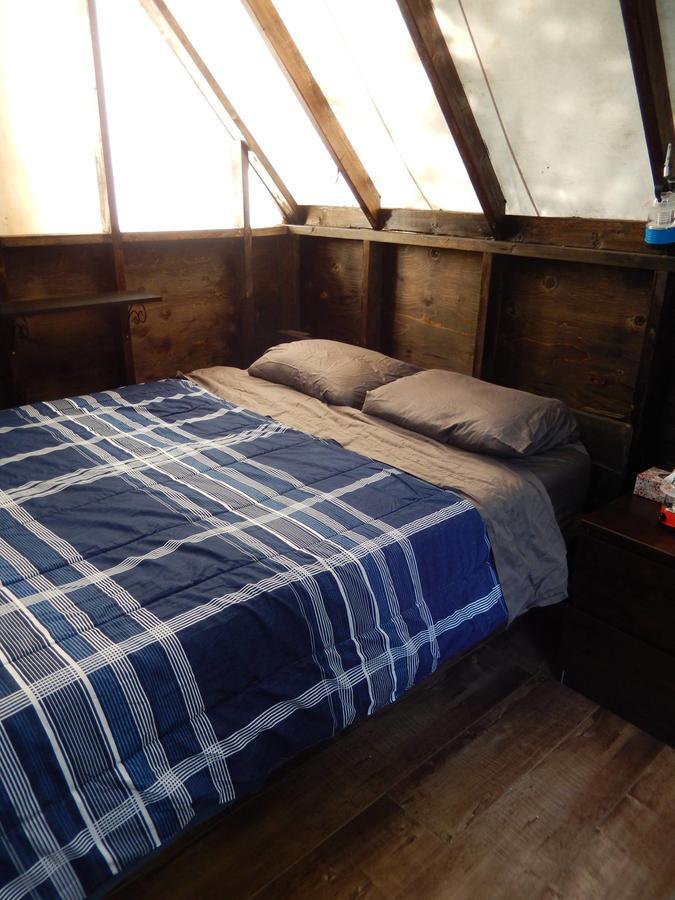 Wanderer'S Inn Backpackers Hostel Haines Junction Ngoại thất bức ảnh